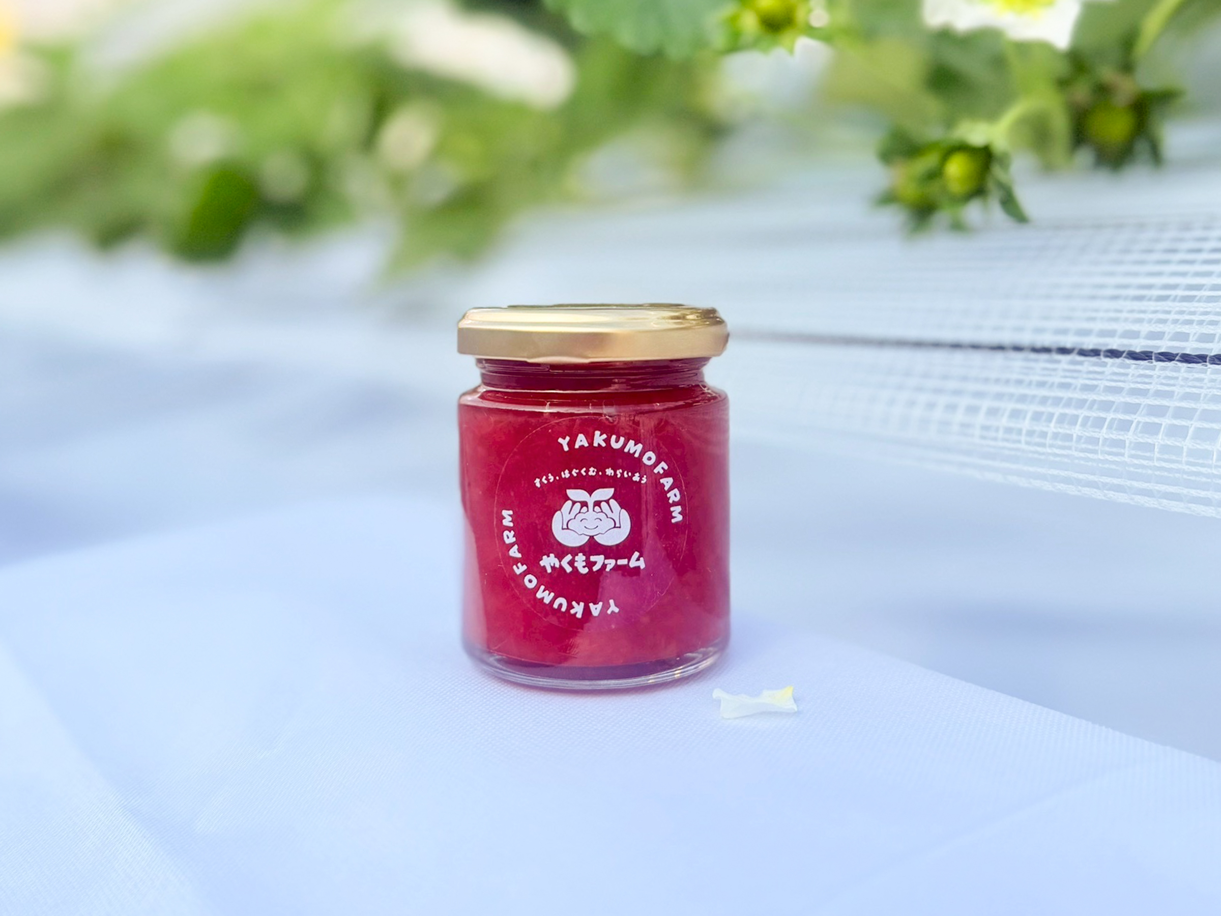 やくもファーム 苺ジャム